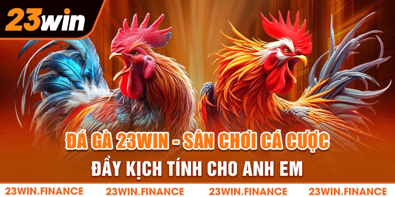 Đá Gà 23Win - Sân Chơi Cá Cược Đầy Kịch Tính Cho Anh Em